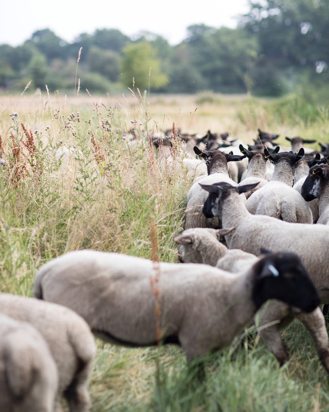 M036 Begins With The Soil Marle