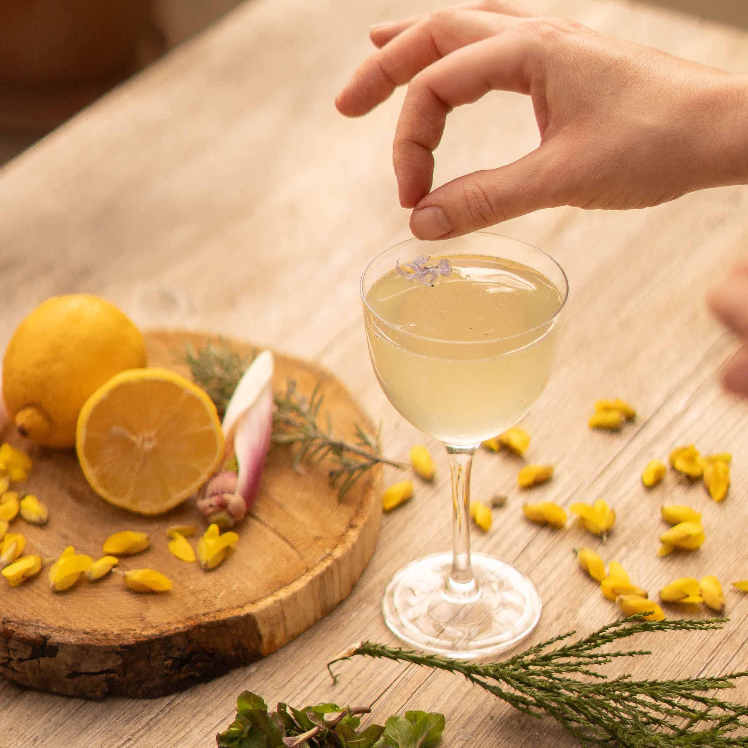 Foragedcocktailworkshops