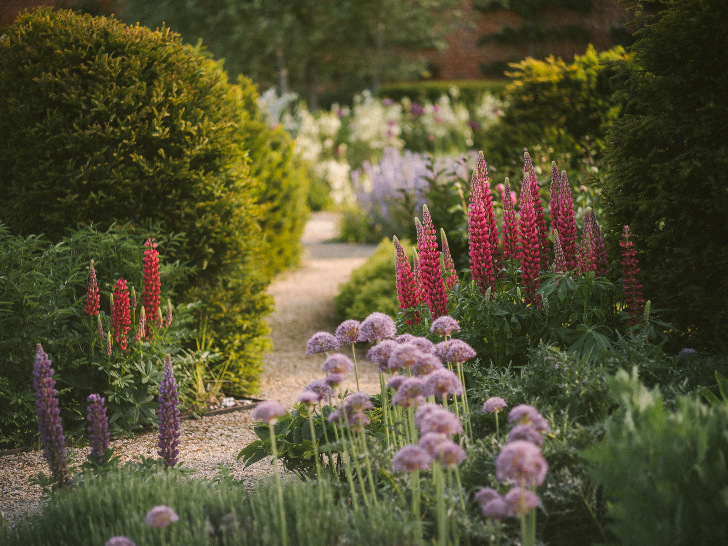Hp Walled Gardens 4 (1)