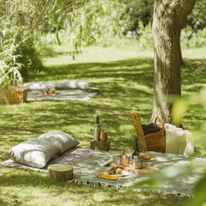 Picnics Crop (1) (1)